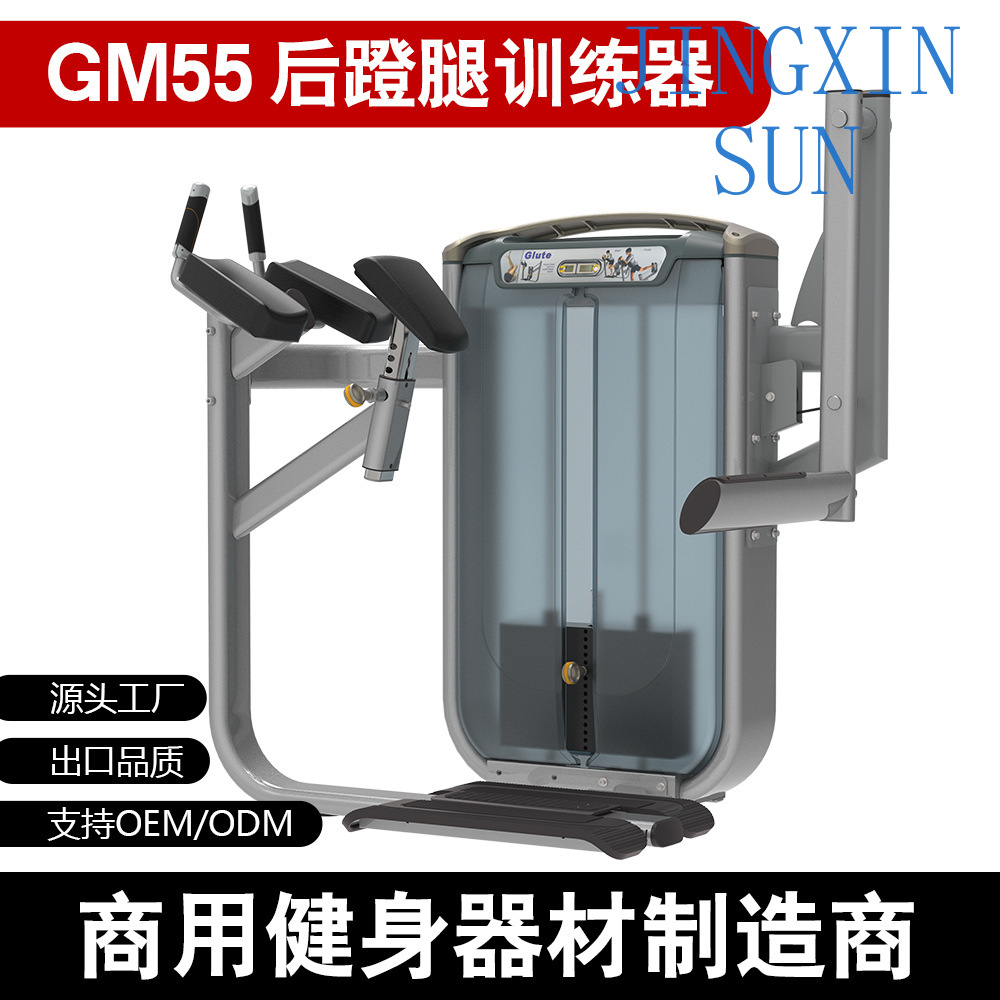 Commercial Standing Back Push  - огляд і ціна Home Gym Leg Extension Machine
