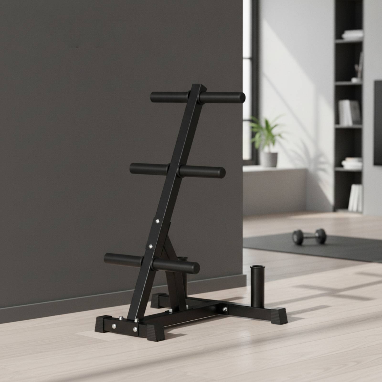 Barbell Plate Rack Space-Savin - огляд і ціна Home Gym Folding Rack