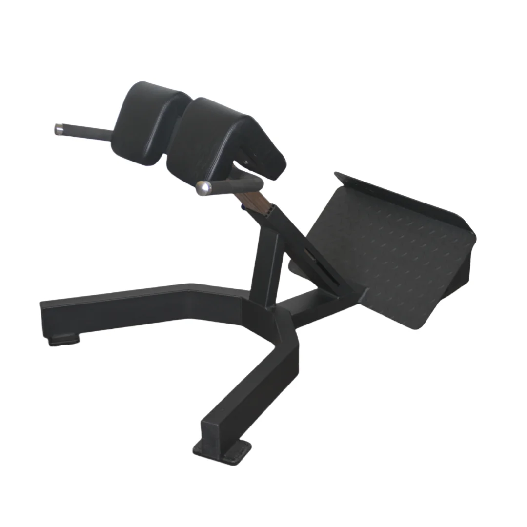 Factory Price Roman Chair Back - огляд і ціна Home Gym Leg Extension Machine